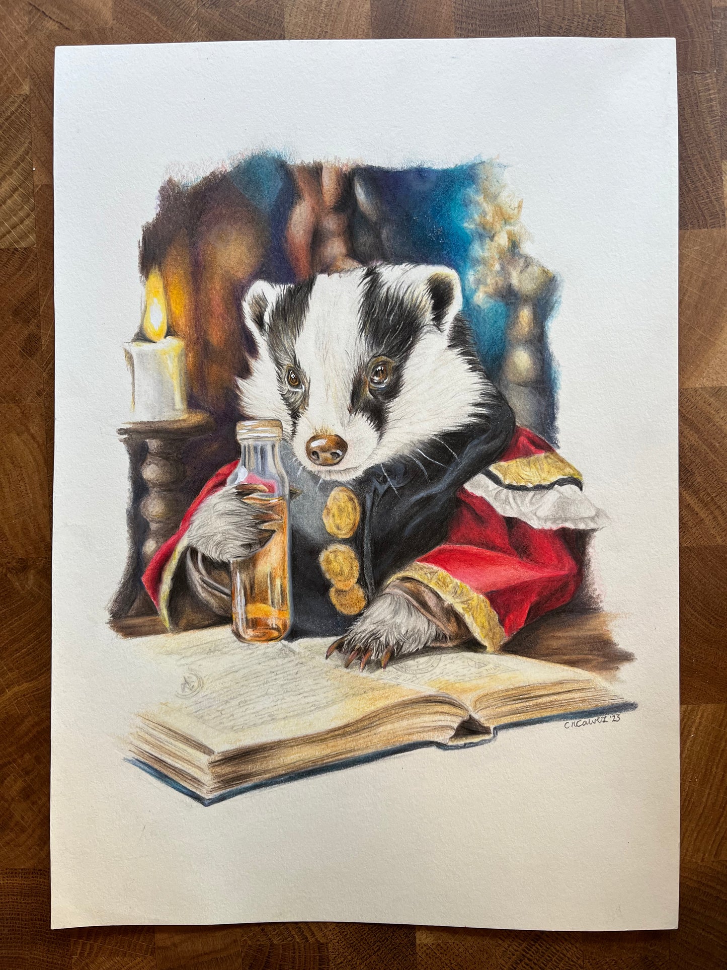 Poster Print | Badger